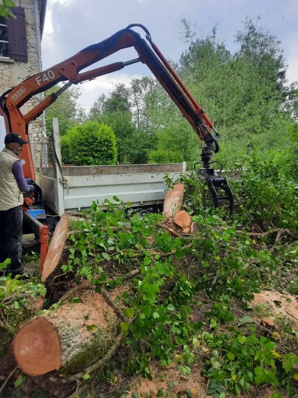 Abattage avec grue et évacuation de tronc en Charente